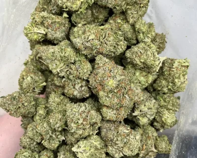 PINK BOMB (MEGA GAS) - Image 4